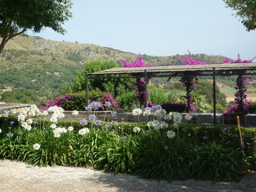 Farm stay Son Siurana Alcudia (Mallorca)